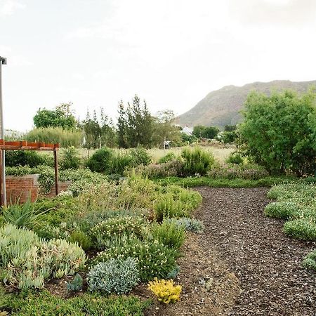 Vineyard Views Country House Riebeek-Kasteel Exterior foto