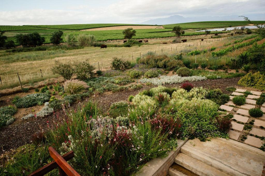 Vineyard Views Country House Riebeek-Kasteel Exterior foto